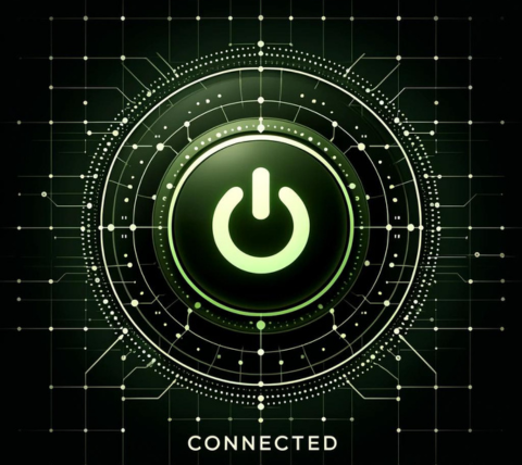 Koala VPN for China connection step 3, secure access